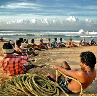 Hoiya Hoiya ( Chords )